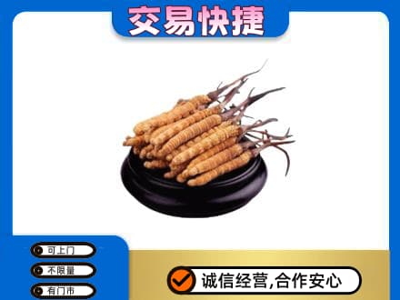 汉中礼品回收散虫草.jpg